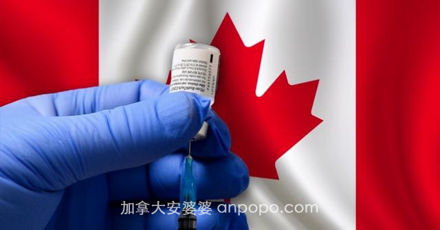 又一国家加入！辉瑞疫苗正式获批在加拿大使用，下周开始接种活动