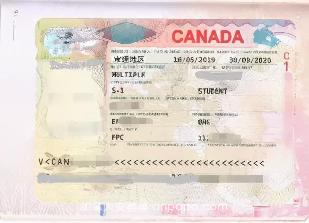 网申流程/担保金/陪读签证/大小签续签 加拿大留学签证问答