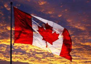 「加拿大枫叶卡」如何续卡？移民监是否必须满足？