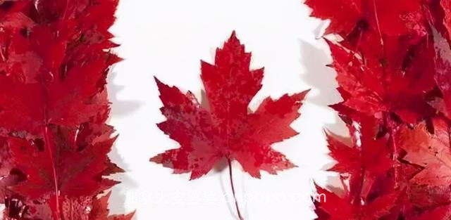 加拿大移民，想去加拿大留学，各省的要求你知道吗？
