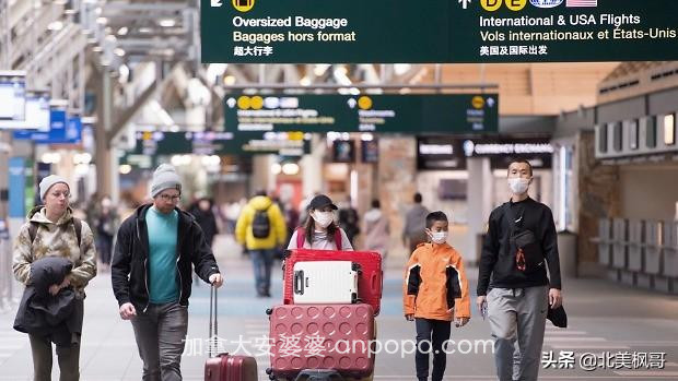 加拿大政府一声号令，近40万“候鸟人”疯狂抢票回国