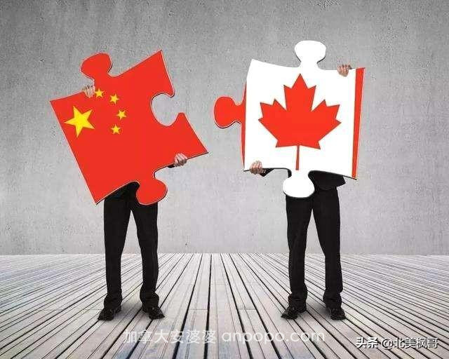 有些优越性只存在于中国，加拿大是没有的