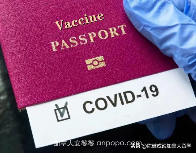 快讯，“疫苗护照”有望推动加拿大开放访问签证持有者入境