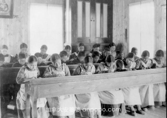 加拿大印第安学校的儿童遗骸和白人的“同化教育”