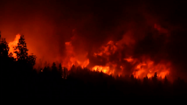 UBC都被烧了！温哥华将变“霾”哥华，山火已蔓延8000多公顷