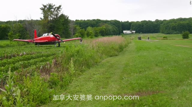 飞来横祸！加拿大20多岁女孩开着除草机被飞机撞死了