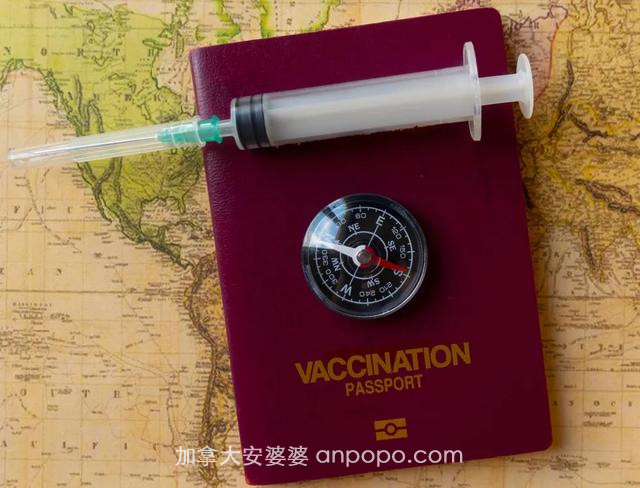 重磅！加拿大人呼吁承认国药科兴疫苗，华人有望入境免14天隔离