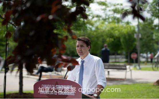 特鲁多真怂了！中国强硬反击后，加拿大参议院否决反华提案