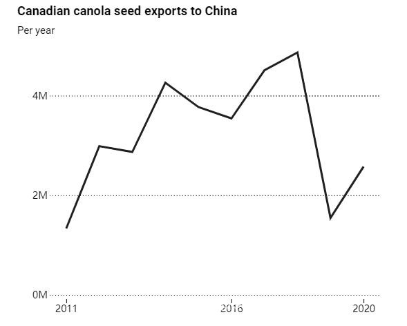 损失惨重！油菜籽出口跌70%，加拿大就中国禁令向世卫二次申诉