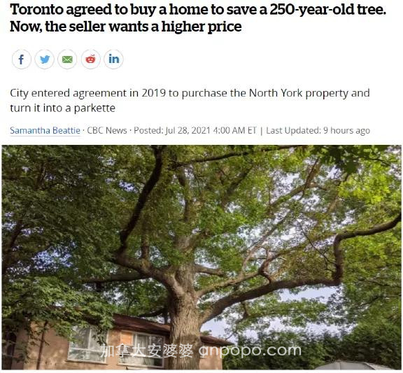 “得加钱”！政府欲买房保树，加拿大卖家当场坐地起价