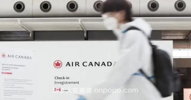加拿大留学热度不减反增：留学生称赞疫情政策清晰