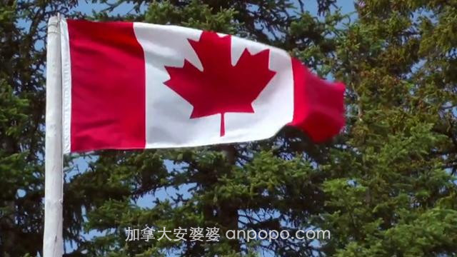 中国按律处罚加拿大罪犯，加拿大政府抗议，中国态度强硬