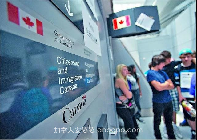 加拿大移民：2021年加拿大枫叶卡，将是最好拿的一年！你认同吗？