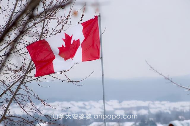 30多岁人到中年，想移民加拿大还有哪些方法？