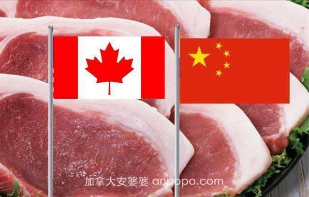 加拿大宣布提前大选，特鲁多打出中国牌，中加关系要何去何从？