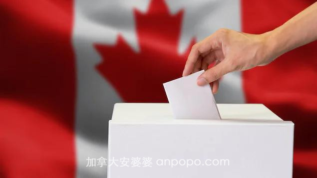 存在“舞弊”嫌疑？加拿大用一次性铅笔投票引争议