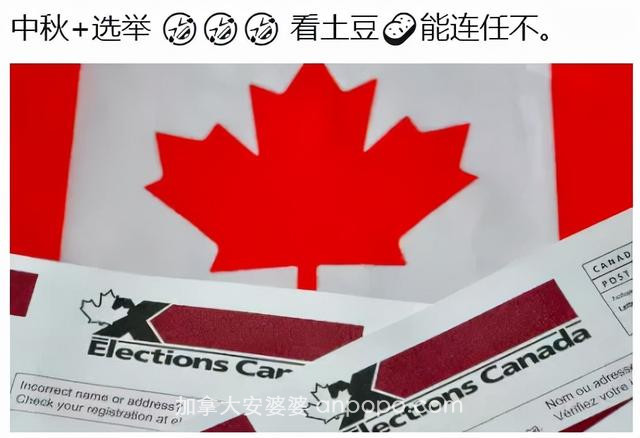 加拿大全民出动 大排长龙为投票 华人空前踊跃 特鲁多1家5口被围住