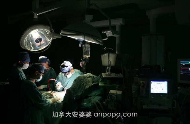 加拿大4岁女孩中国就医：长途飞行、医学隔离观察，收获上海医生“完美接单”