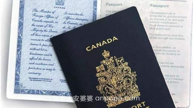 普通的人移民到加拿大能做什么工作呢？