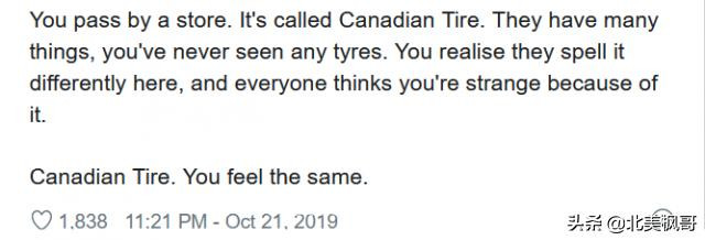 一位留学生对加拿大评价网上火了