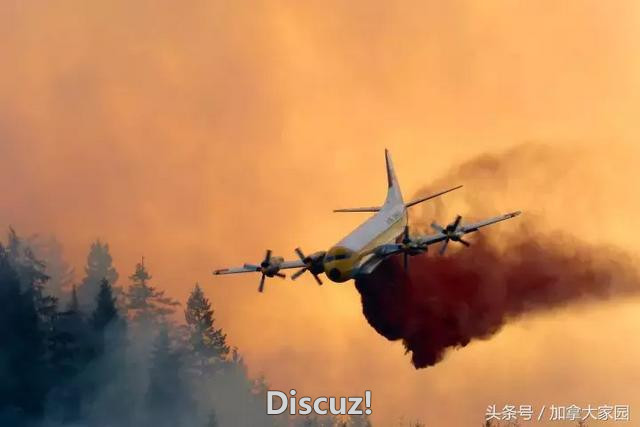 温哥华机场航班停飞！BC山火肆虐，浓烟遮天蔽日，世界末日再现？