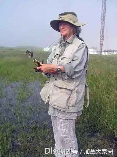 67岁的老阿姨在加拿大最偏远的小岛上独居40年！究竟为啥？