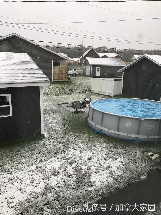 加拿大又下大雪啦！