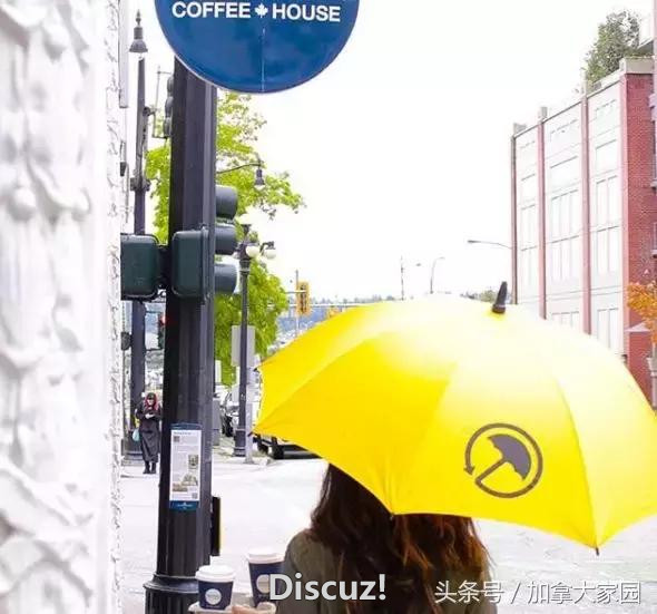 谁说加拿大人下雨不打伞？温哥华“小黄伞”生意好：扩大范围~