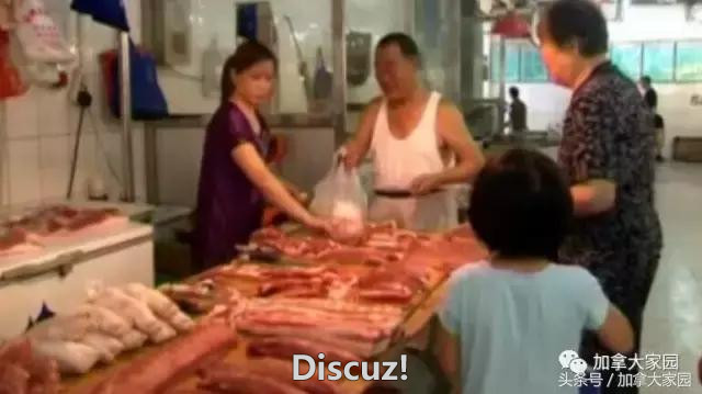 老外不喜欢，中国人最爱！加拿大“猪下水”猪农称“最爱中国人”