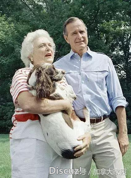 73年携手走过风雨，妻子葬礼第二天，老布什就病倒了~