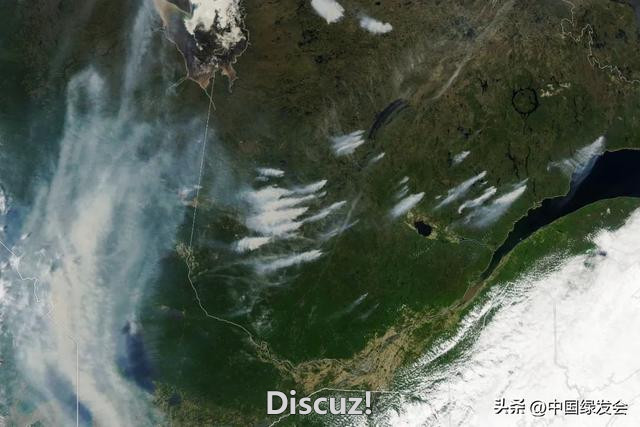 加拿大有史以来最严重的火灾季：森林大火致上万人离开家园