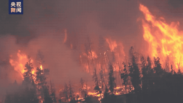 1000多起火灾正同时发生！加拿大十多万人逃离家园