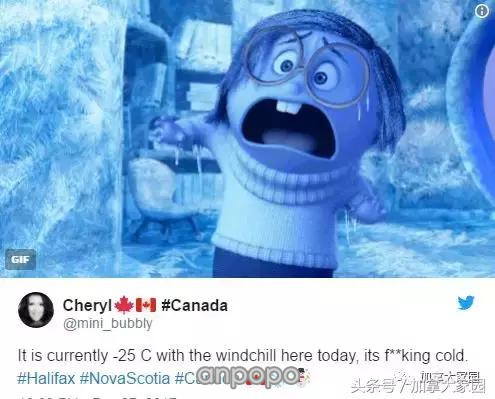 加国美女部长：-45℃，我们加拿大人见怪不怪！不习惯别来呀~