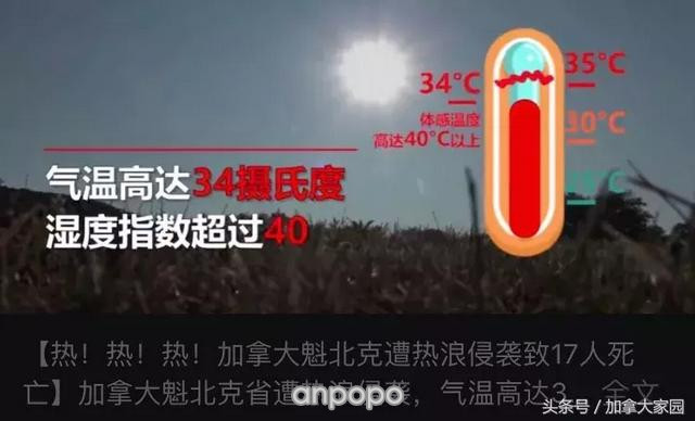 加拿大"34℃高温"竟热死了54人！南京人和武汉人表示不理解……
